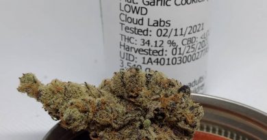 platinum garlic cookies by lowd strain review by pdxstoneman