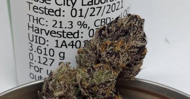 runtz by the heights co strain review by pdxstoneman