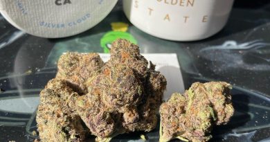 silver cloud by a golden state strain review by sjweed.review