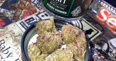 stiiizy cookies by stiiizy strain review by sjweed.review