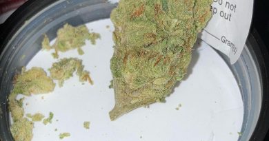 strawberry banana by bobby mac's personals strain review by sjweed.review