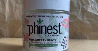 strawberry runtz by phinest cannabis strain review by christianlovescannabis 3