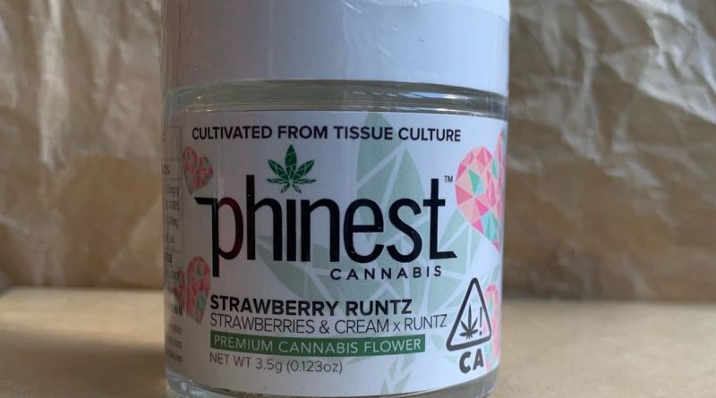 strawberry runtz by phinest cannabis strain review by christianlovescannabis 3