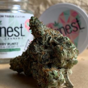strawberry runtz by phinest cannabis strain review by christianlovescannabis