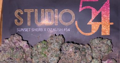 studio 54 by doja exclusive strain review by trunorcal420