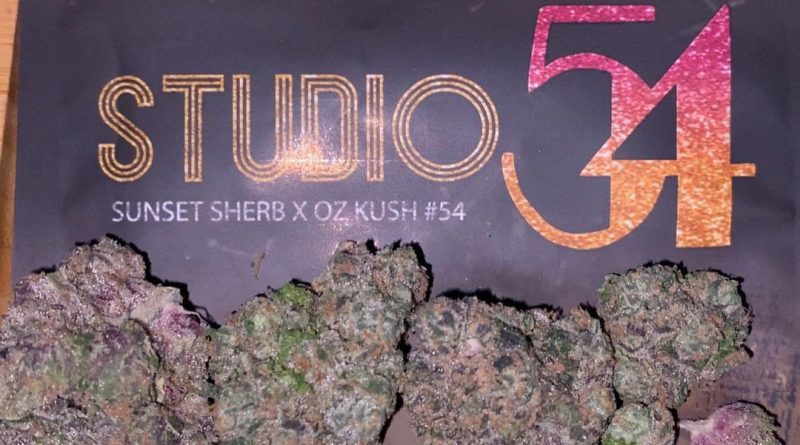 studio 54 by doja exclusive strain review by trunorcal420