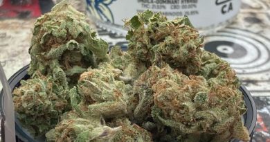 sundae driver by cypress cannabis strain review by sjweed.review