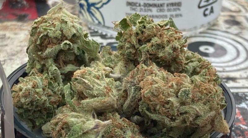 sundae driver by cypress cannabis strain review by sjweed.review