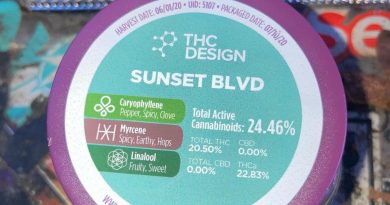 sunset blvd by thc design strain review by sjweed.review