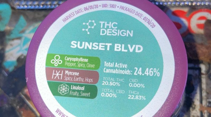 sunset blvd by thc design strain review by sjweed.review