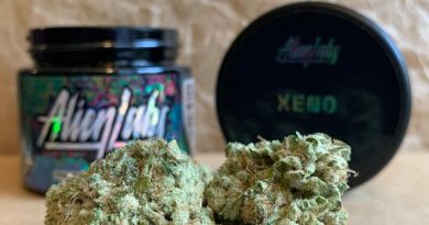 xeno by alien labs strain review by christianlovescannabis