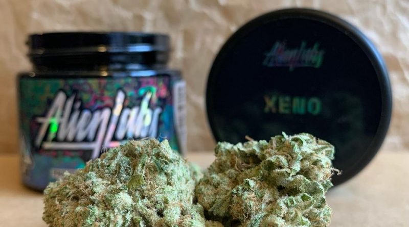 xeno by alien labs strain review by christianlovescannabis