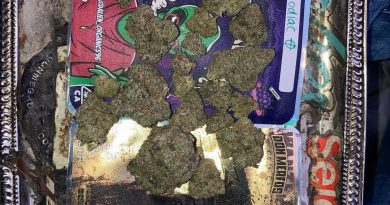 zodiac by mount burnin farms strain review by sjweed.review