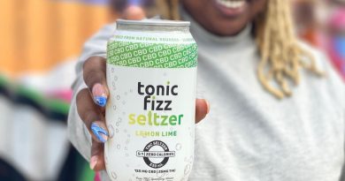 5 to 1 lemon lime seltzer by tonic fizz drinkable review by upinsmokesession