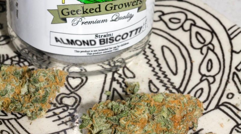 almond biscotti by geeked growers strain review by trunorcal420