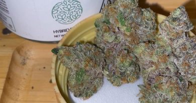 apple pie by cam strain review by trunorcal420 2