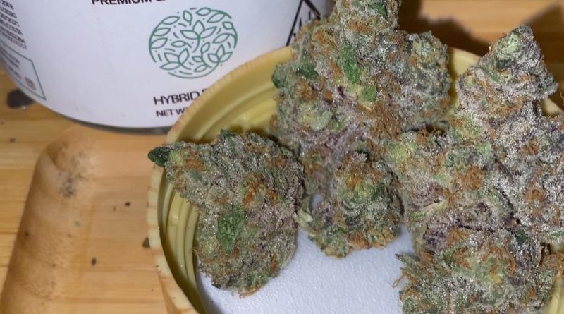 apple pie by cam strain review by trunorcal420 2