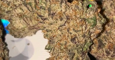 astro cream by big smokey farms strain review by sjweed.review