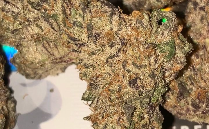 astro cream by big smokey farms strain review by sjweed.review