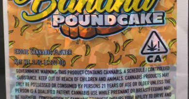 banana poundcake by golden state banana strain review by cannasaurus_rex_reviews