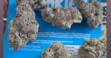 cereal milk by south bay connetics strain review by sjweed.review