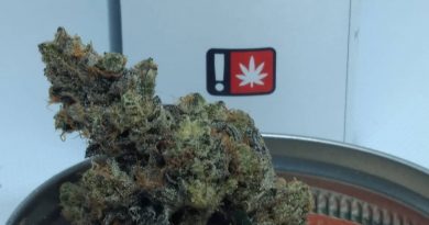 cookie dawg by pintail gardens strain review by pdxstoneman