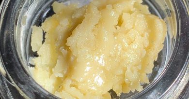 crunch berry rosin by greenlight productions concentrate review by budfinderdc