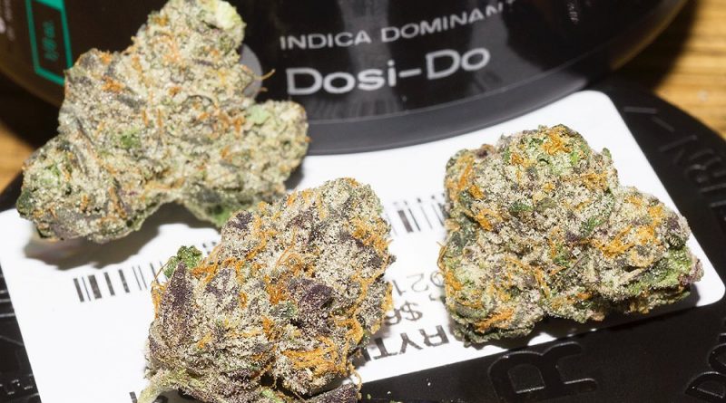 dosi-dos by rythm strain review by bigwhiteash