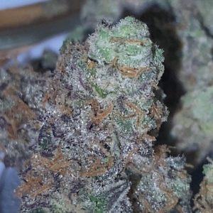 ember mints by ember valley strain review by the weed clinic