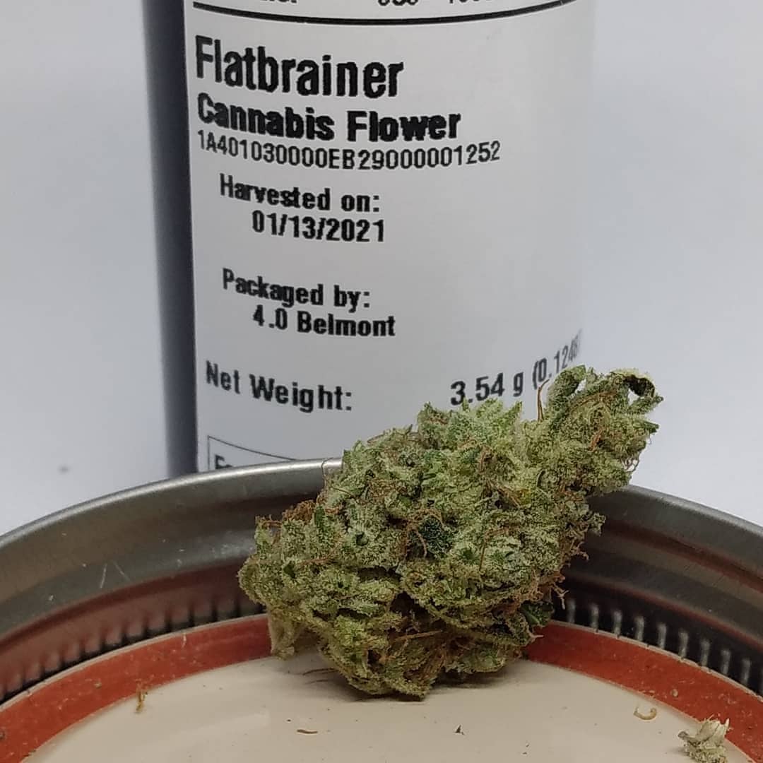 flatbrainer by high noon cultivation strain review by pdxstoneman