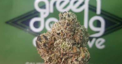 guava'z by green dawg cultivators strain review by dcent_treeviews