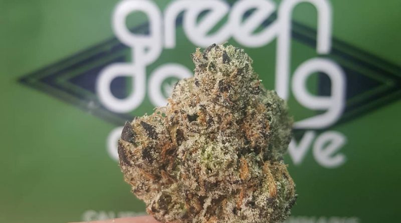 guava'z by green dawg cultivators strain review by dcent_treeviews