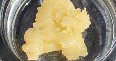 parmesan rosin by greenlight productions concentrate review by budfinderdc