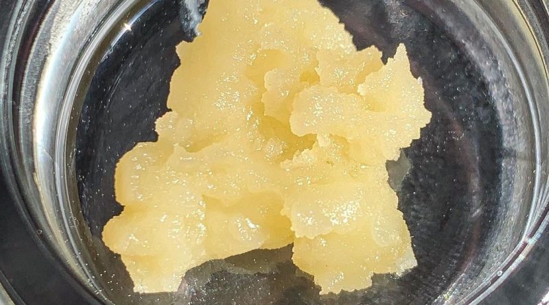 parmesan rosin by greenlight productions concentrate review by budfinderdc