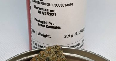 pineapple kiwi by phyre strain review by pdxstoneman