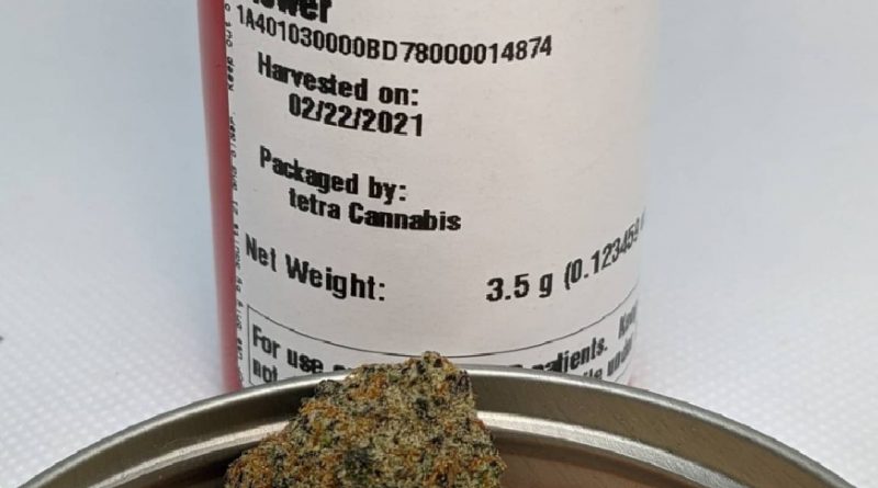 pineapple kiwi by phyre strain review by pdxstoneman