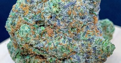 pizookie by plush gardenz strain review by budfinderdc
