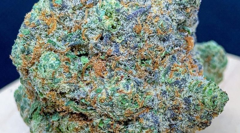 pizookie by plush gardenz strain review by budfinderdc