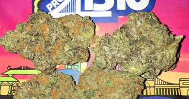 project 41510 by grandiflora strain review by boofbusters420
