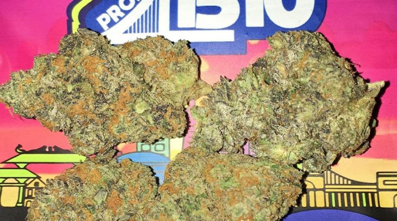 project 41510 by grandiflora strain review by boofbusters420