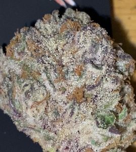 purple peso by money trees strain review by trunorcal420 3