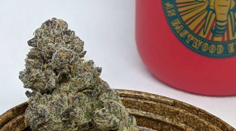 runtz x horchata by eastwood gardens strain review by pdxstoneman