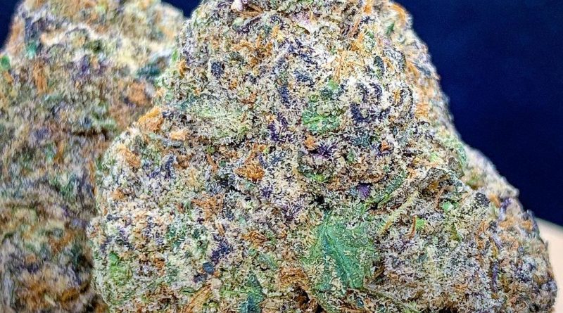 shaved ice by terpene gas co. strain review by budfinderdc