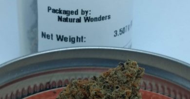 super silver haze by deschutes growery strain review by pdxstoneman