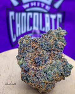 white chocolate 55 by finsley farms strain review by budfinderdc