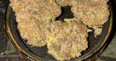 gassy taffy by lokey farms strain review by sjweedreview