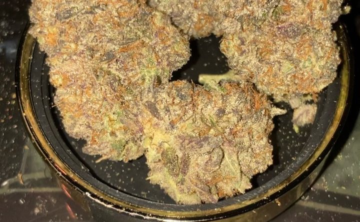 gassy taffy by lokey farms strain review by sjweedreview