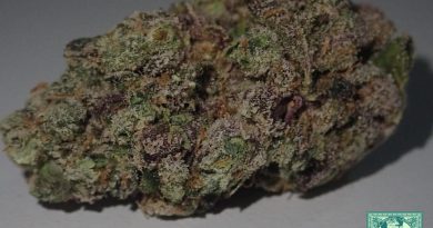grape cake by trichome factory strain review by the_originalcannaseur