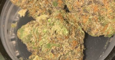 guava by big smokey farms strain review by sjweedreview