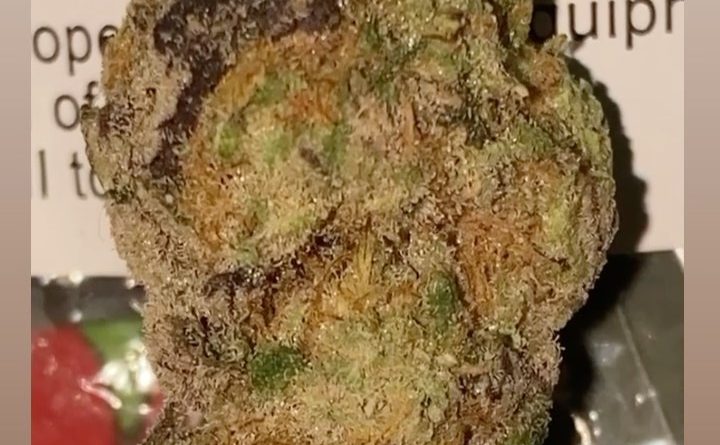 maroon baboon by bobby mac's personals strain review by sjweedreview